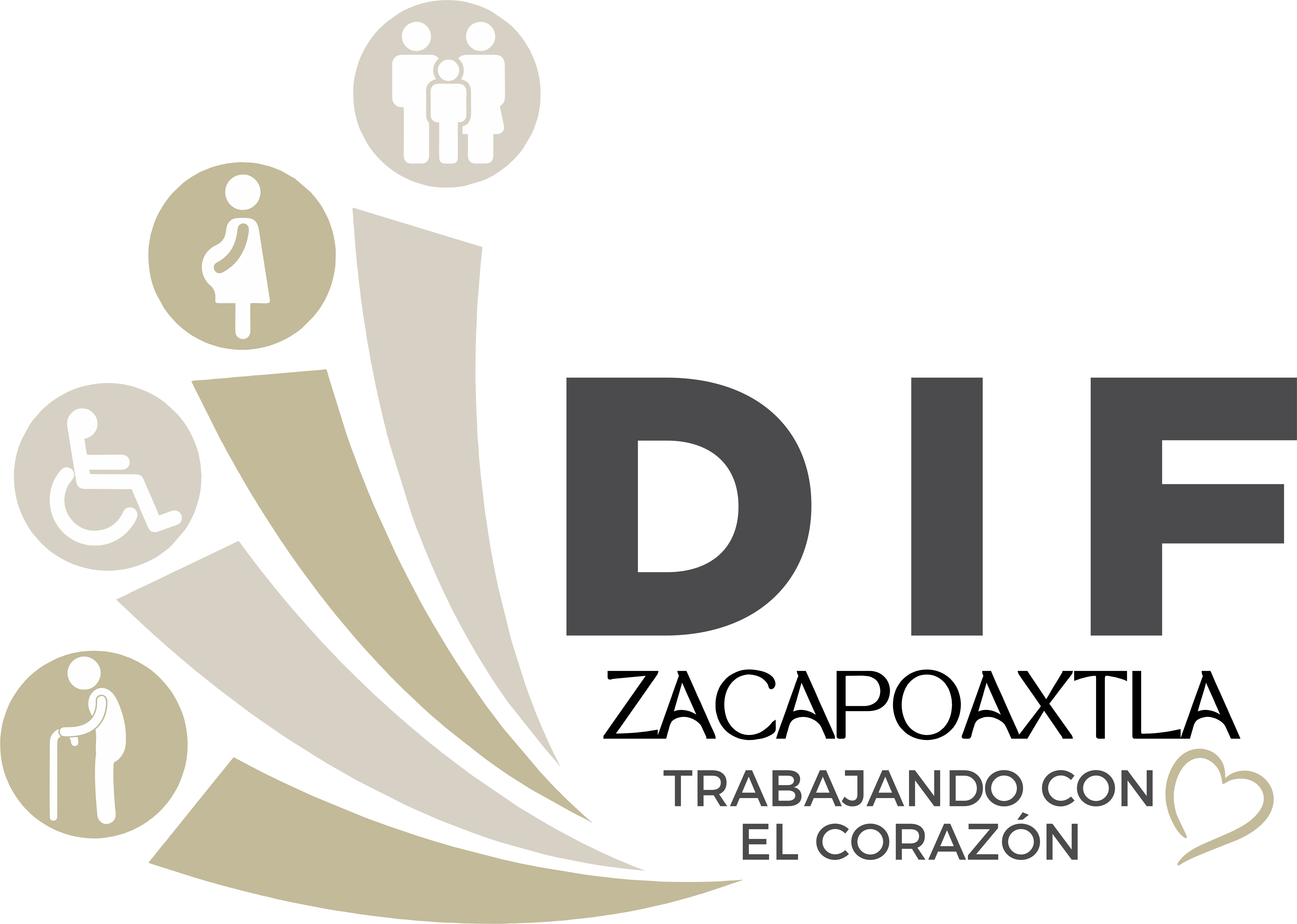 DIF Zacapoaxtla